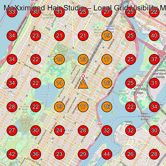 MaXximized Hair Studio GeoGrid visibility map for Hair Salon in New York